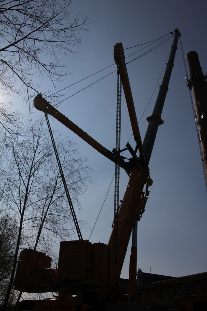 Giganten im Gegenlicht