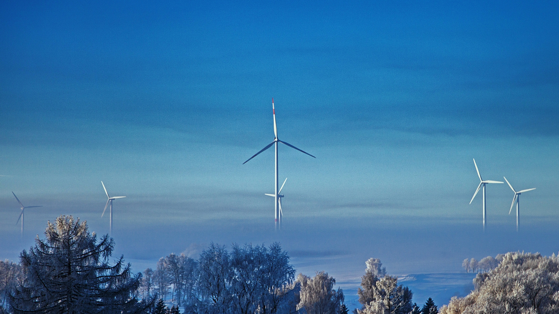 Giganten im Nebel