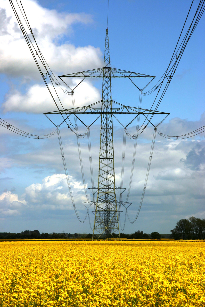 Giganten in der Natur