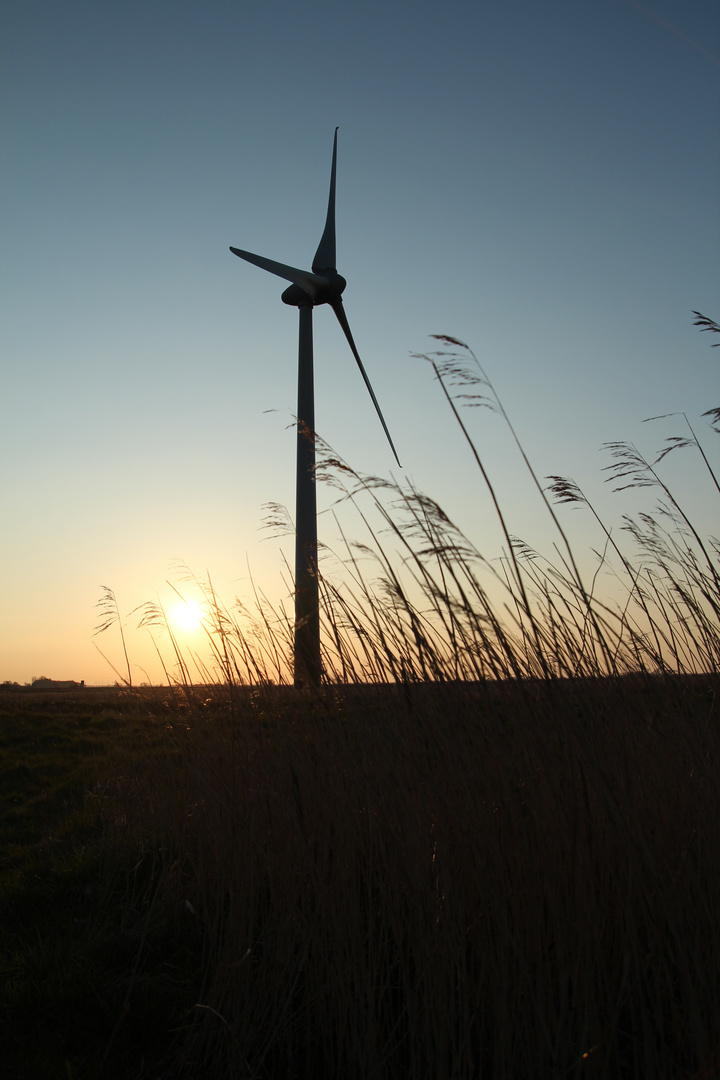 Giganten mitten in Ostfriesland