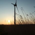 Giganten mitten in Ostfriesland