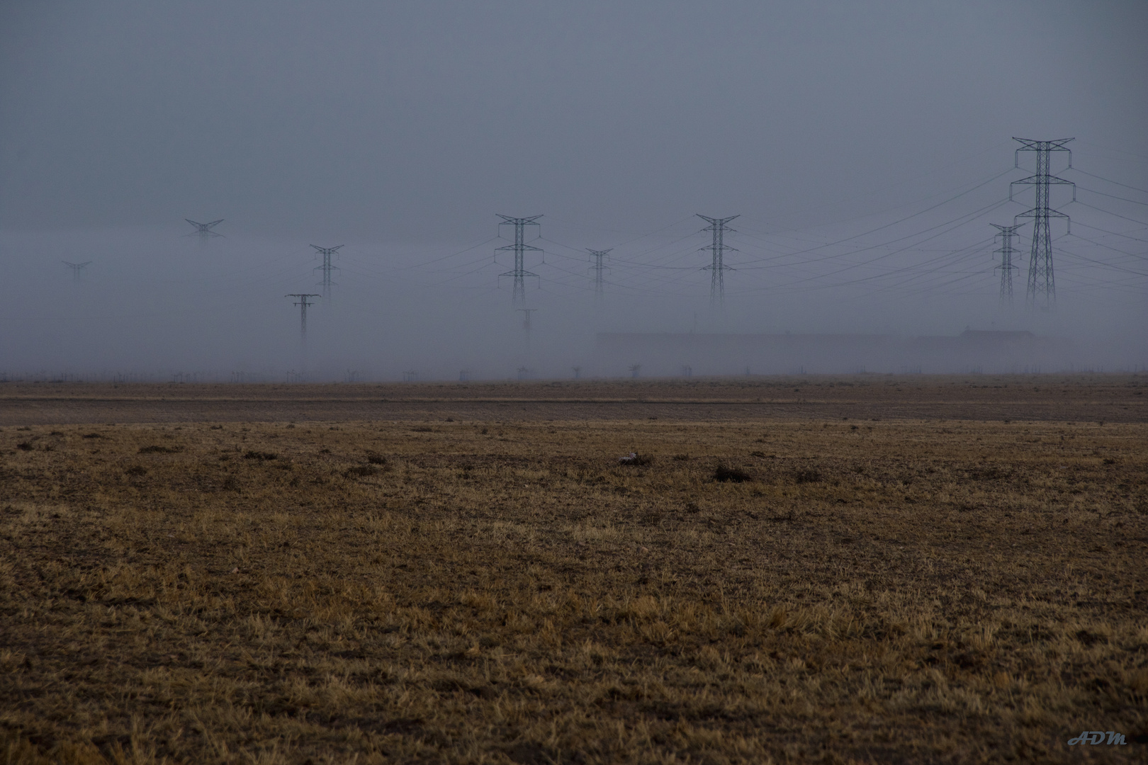 Gigantes en la niebla