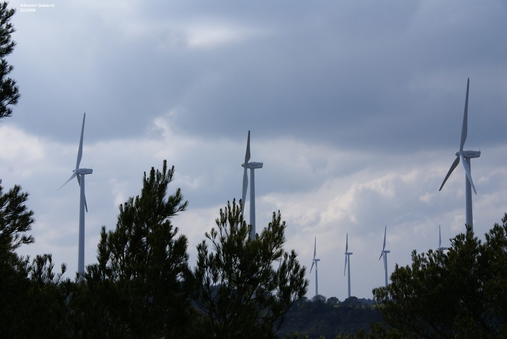 Gigantes o molinos de viento...