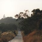 Gigantic Buddha in Lantau