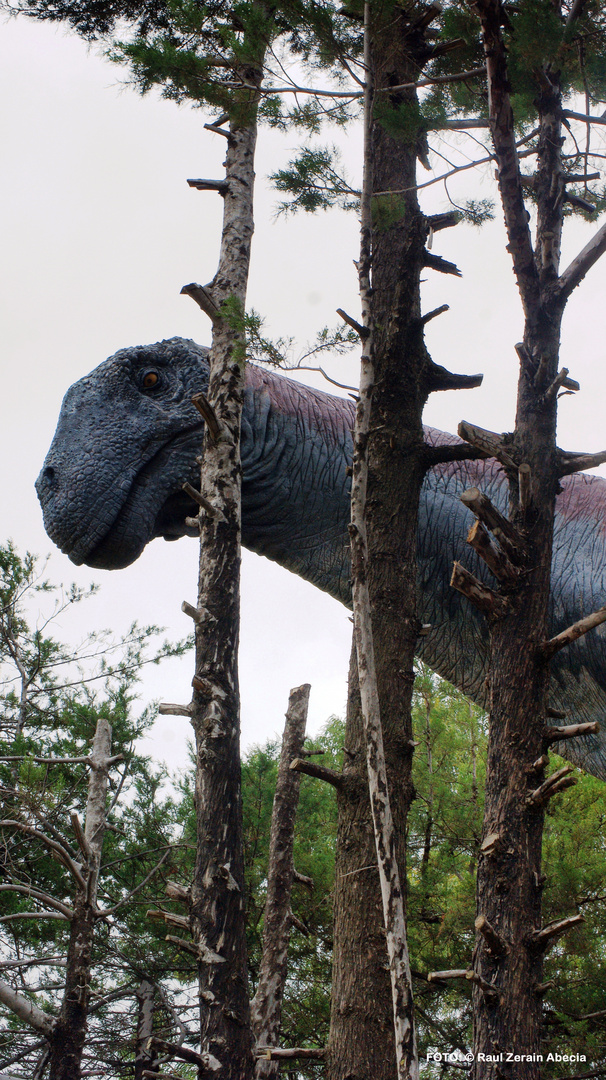 Gigantosaurius, Parque Cretácico de Sucre-Bolivia 2