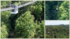 Gigaswing im Harz