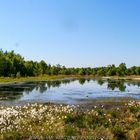 Gildehauser Veen großer See