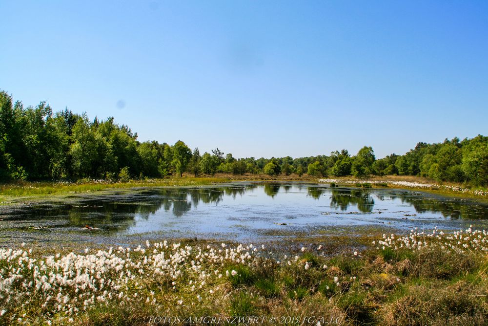 Gildehauser Veen großer See