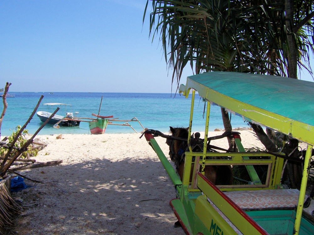 Gili Meno - Horse Car