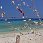 Gili Meno/ Lombok/ Indonesien