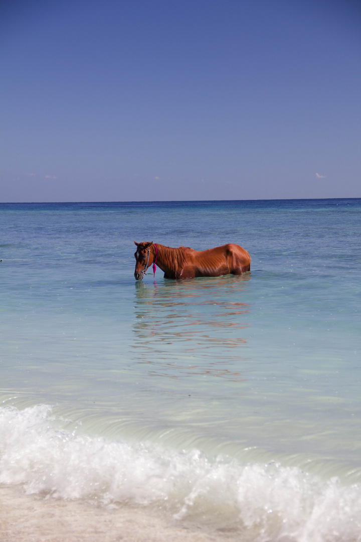 Gili Trawangan