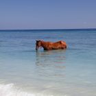 Gili Trawangan