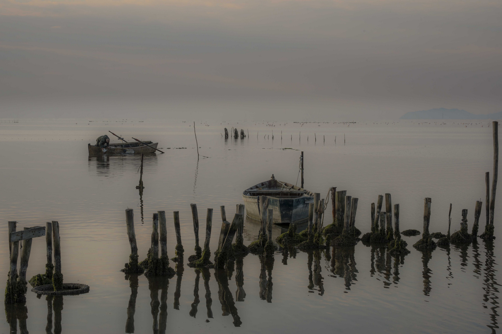 Giliacquas Elmas all'Alba