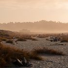 Gillespies Beach, South Island