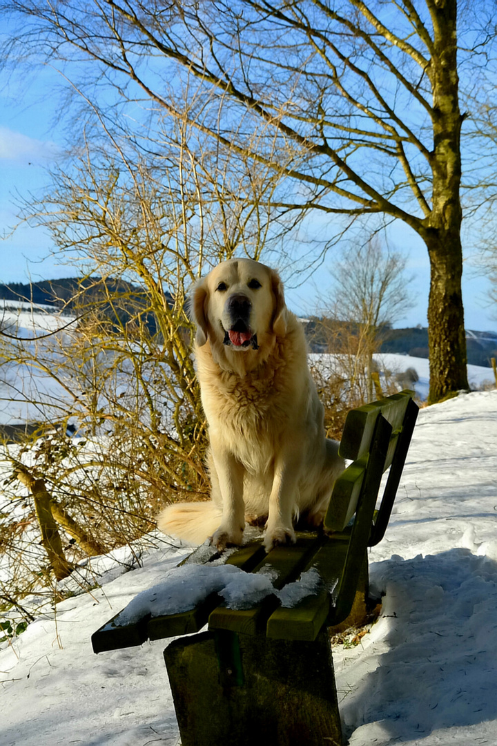 Gilmore im Schnee