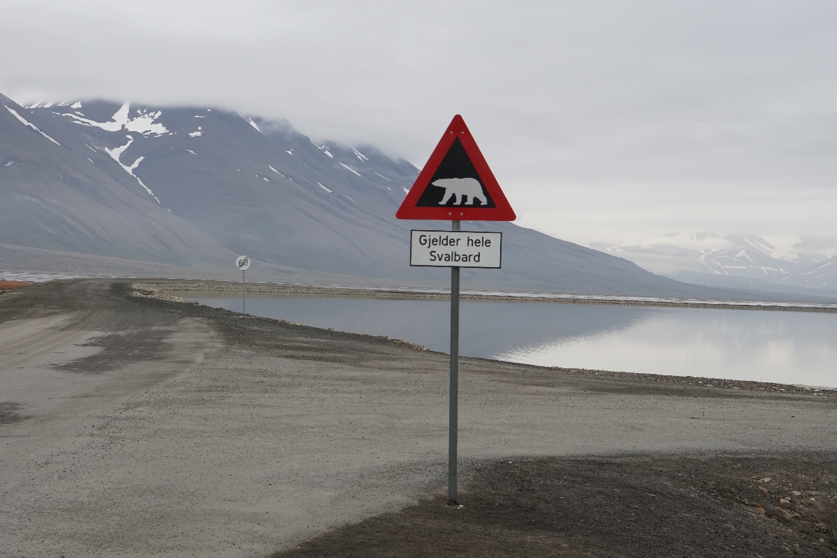 Gilt für ganz Svalbard (Spitzbergen)