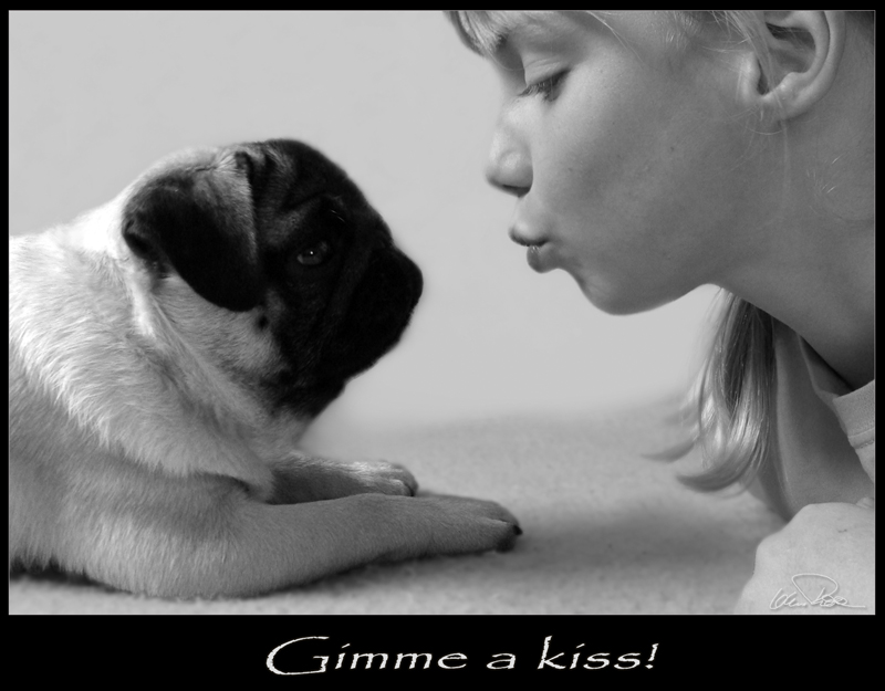 Gimme a Kiss!