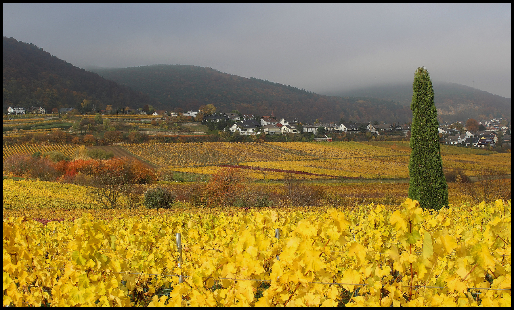 Gimmeldinger Herbst No.1