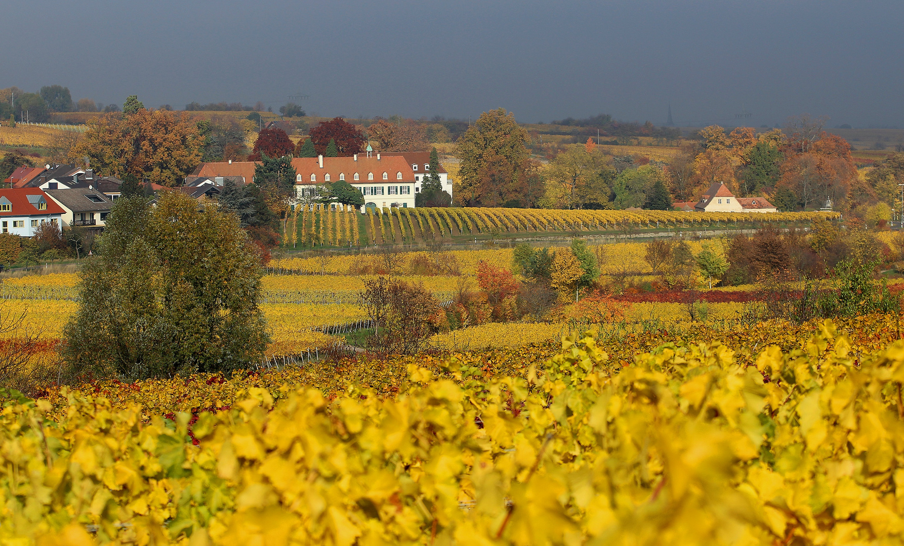 Gimmeldinger Herbst No.2