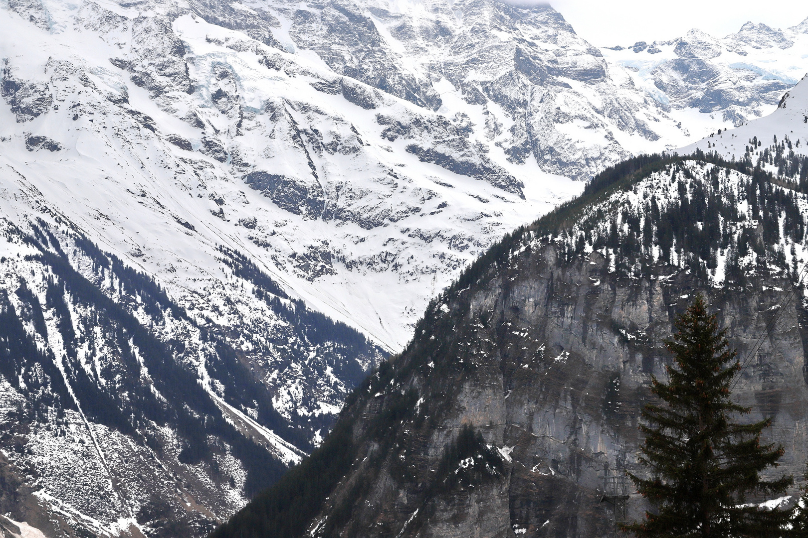 Gimmelwald, Blick gegen Tschingelgrat