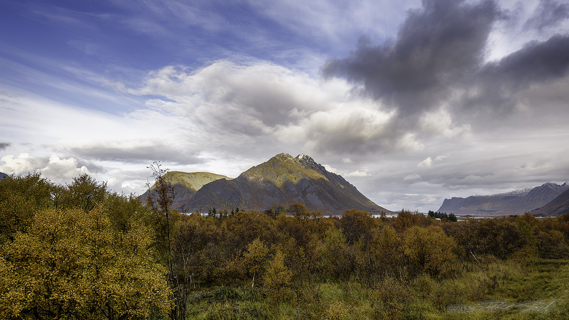 Gimsøya