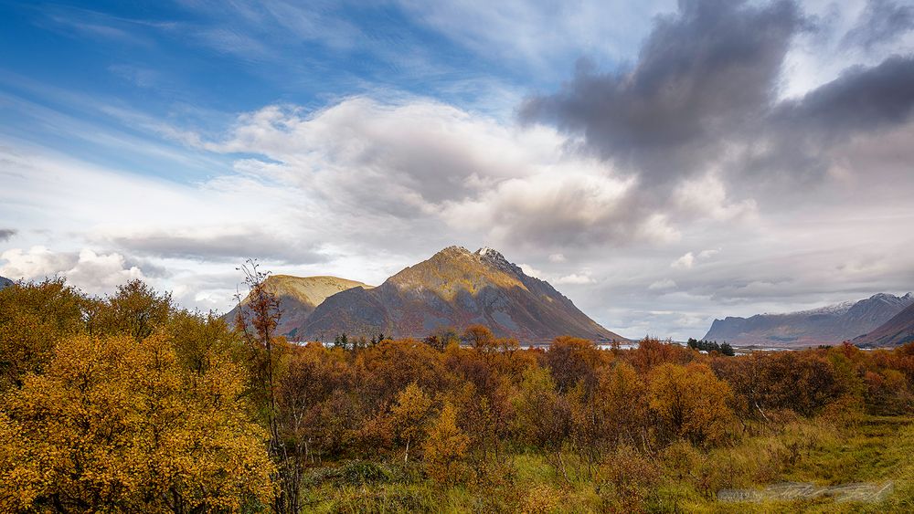 Gimsøya