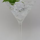 Gin Genovese