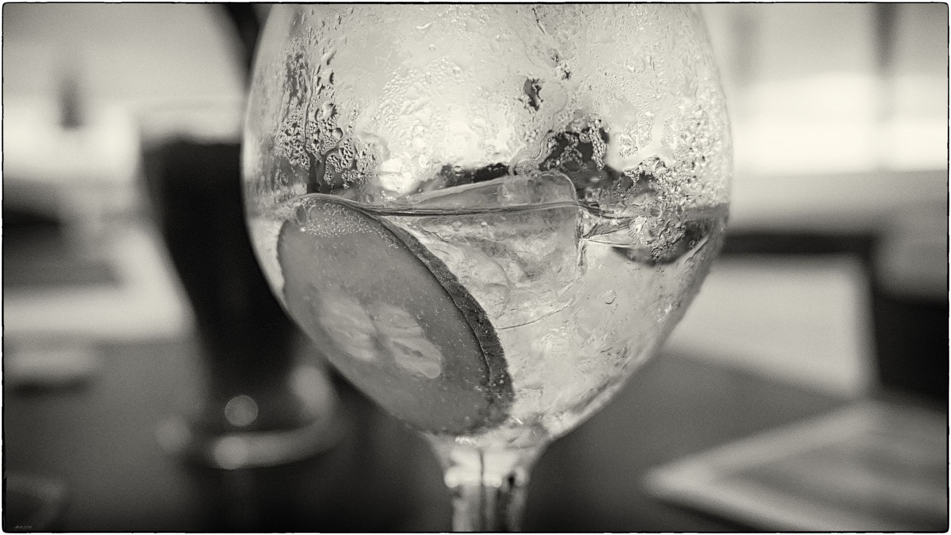 Gin Tonic