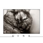 GINA