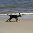 Gina am Strand