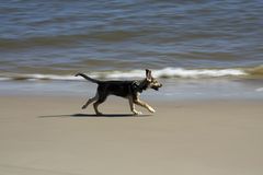 Gina am Strand