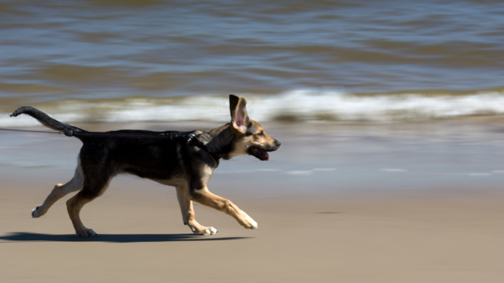 Gina am Strand