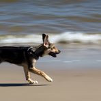 Gina am Strand