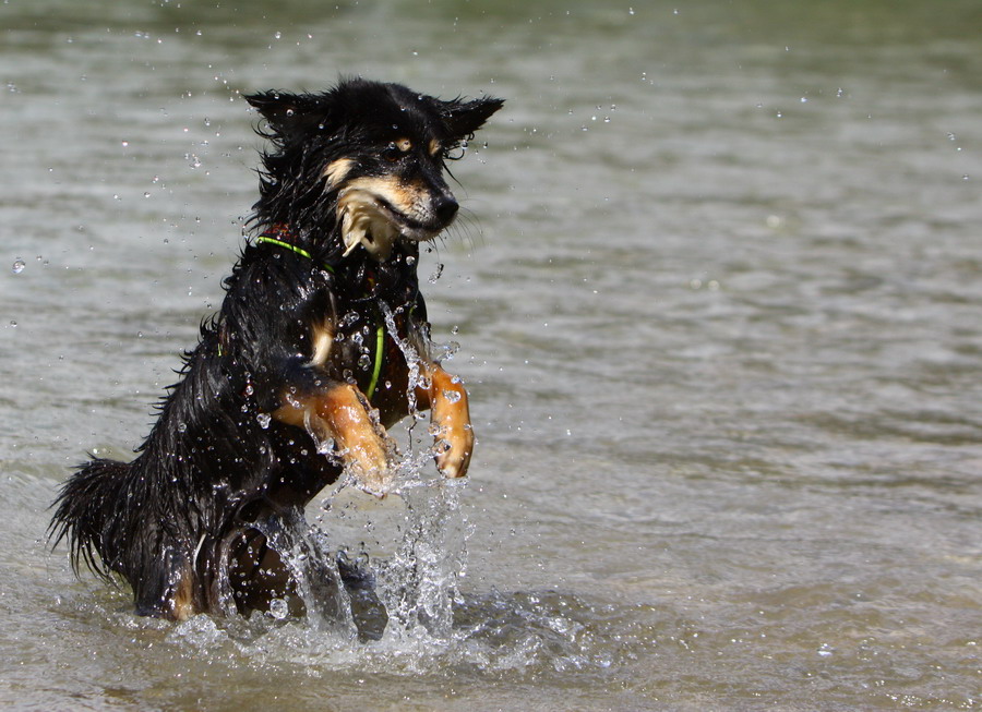 Gina fängt die Wassertropfen I