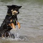 Gina fängt die Wassertropfen I