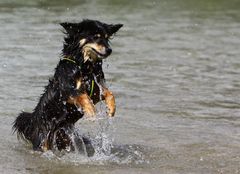 Gina fängt die Wassertropfen I