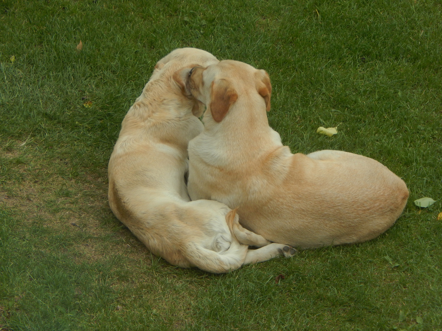 Gina und Emma