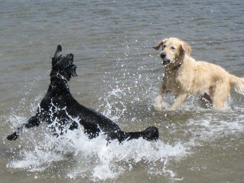 Gina und Luna