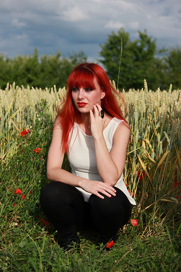 Ginger and the cornfield 1