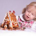 ginger bread house