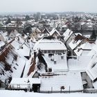 Ginger bread houses?!?... (2)