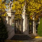 Gingkoleuchten am Hofgarten Eingang