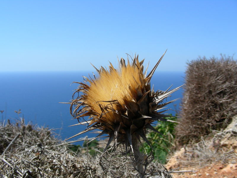 Gingli Cliffs on Malta Island