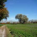 ..ging`s schliesslich diesen Feldweg nei