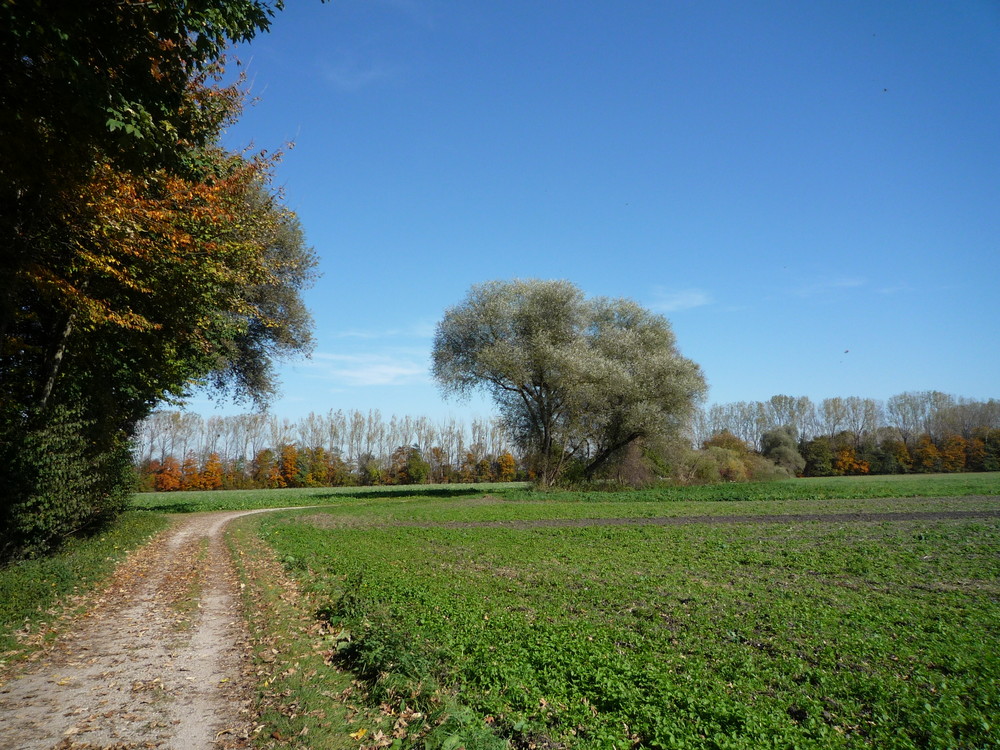 ..ging`s schliesslich diesen Feldweg nei