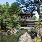 Ginkaku-Ji - Der silberne Pavillon