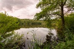 Ginkelse Heide - Groot Ginkel - 03