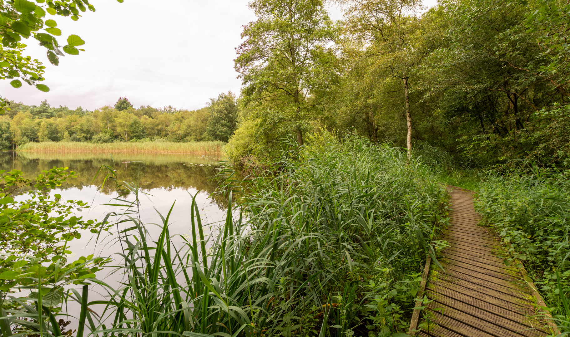 Ginkelse Heide - Groot Ginkel - 04