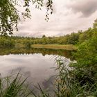 Ginkelse Heide - Groot Ginkel - 05