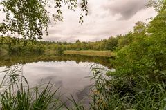 Ginkelse Heide - Groot Ginkel - 05